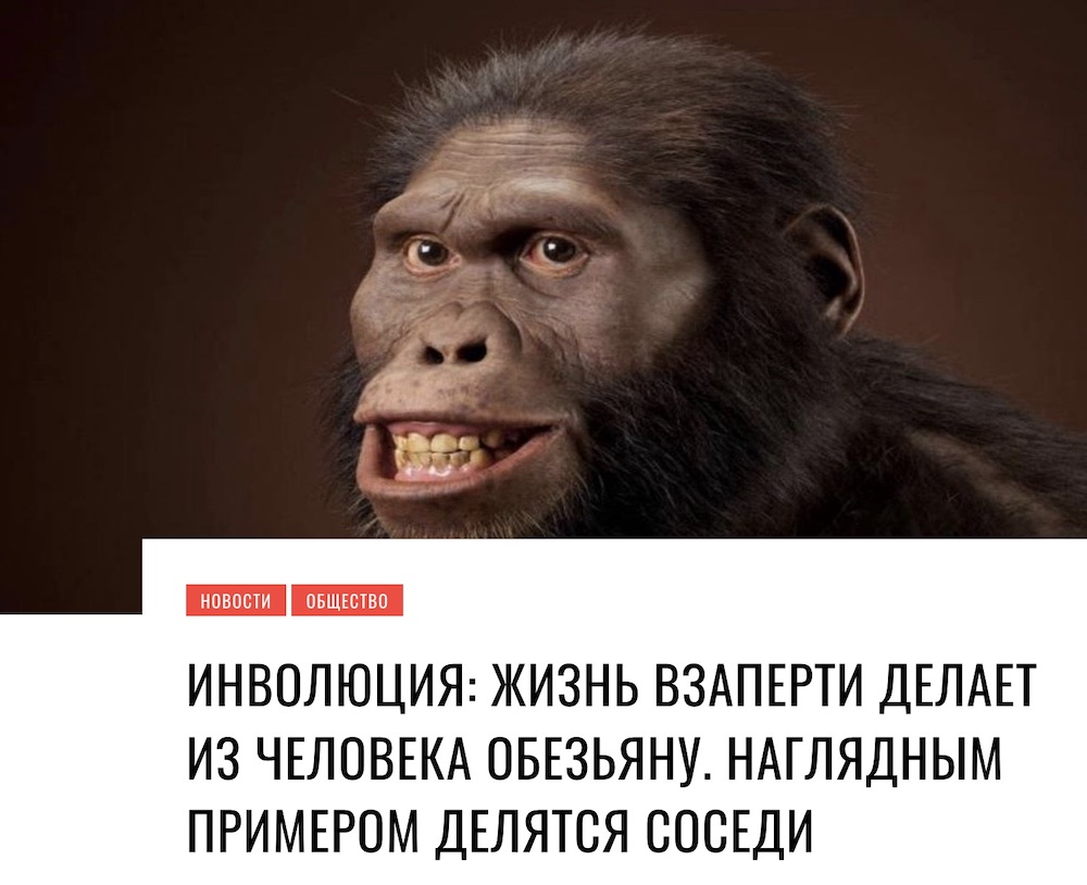 Скриншот заголовка статьи с сайта kamenec.by.