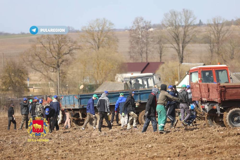 Уборка камней в Ошмянском районе. Фото: «Пул 4 Регион».