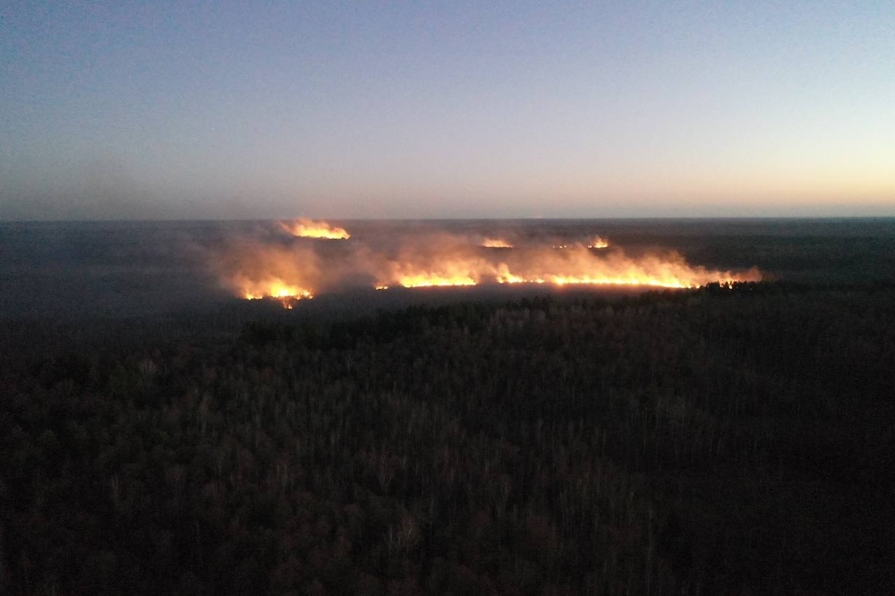 Пожары в болотистой местности на Брестчине. Фото: МЧС.