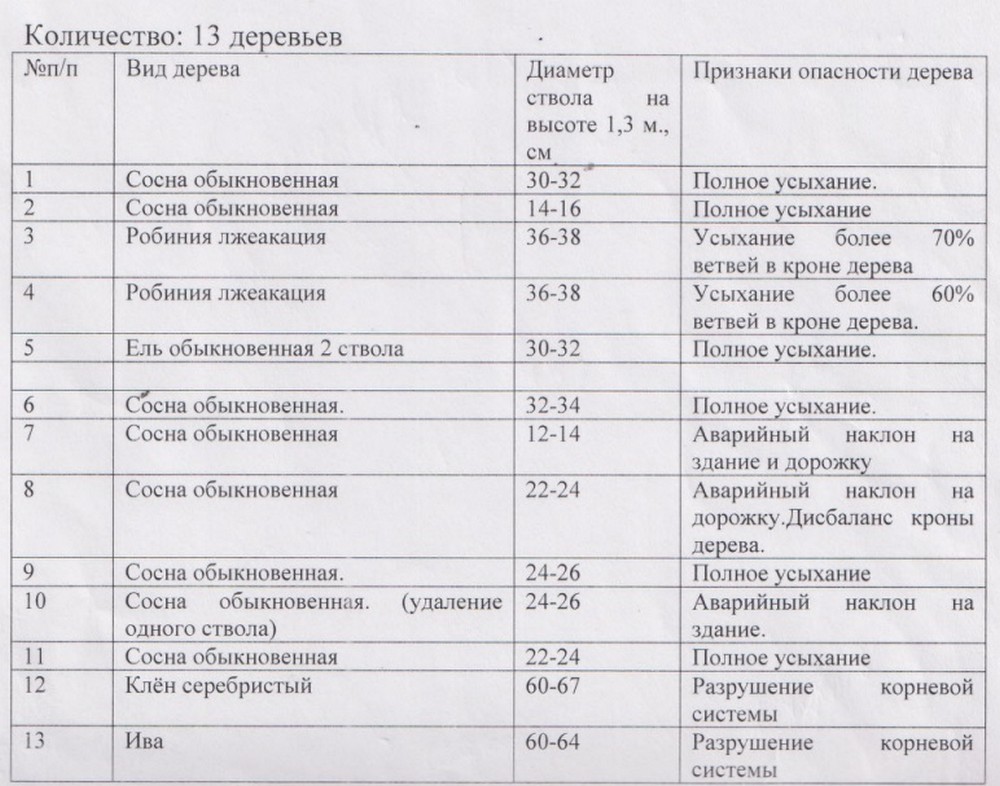 Причина спила 13 деревьев на территории Брестской областной больницы. Скриншот документа на сайте госзакупок