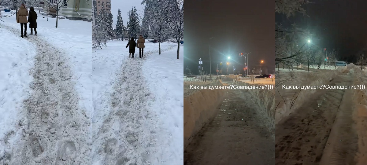 почищенные и неочищенные дороги