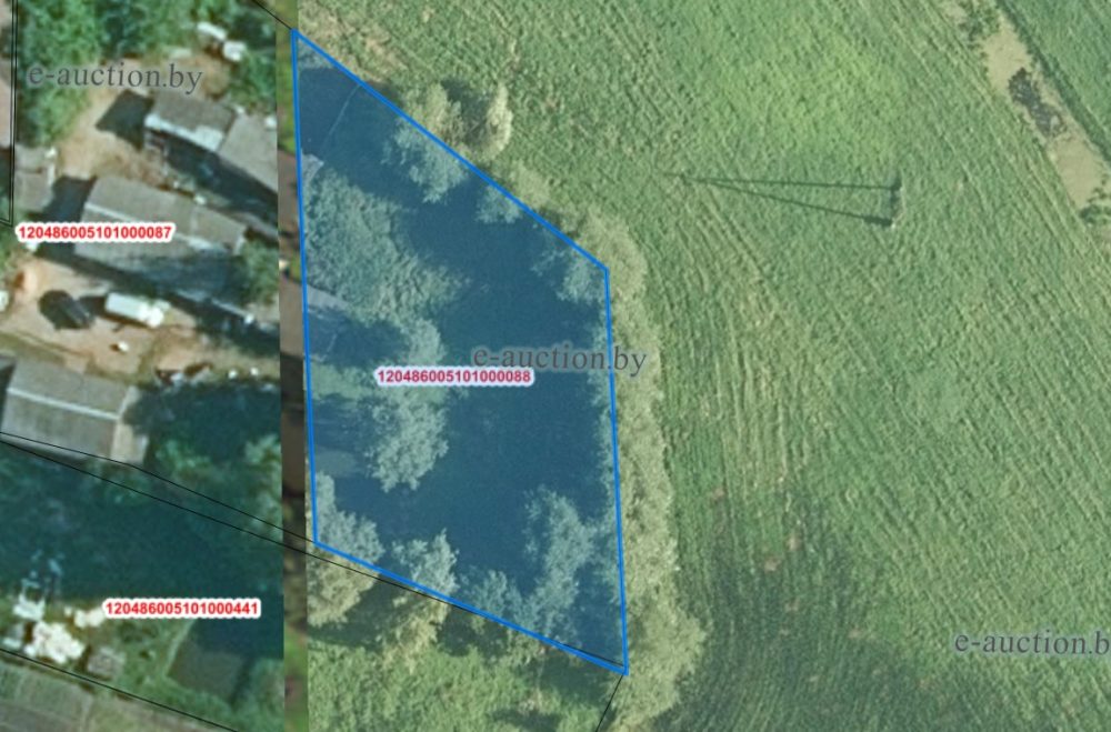 Земельный участок Генриха Околотовича в деревне Новая Мышь