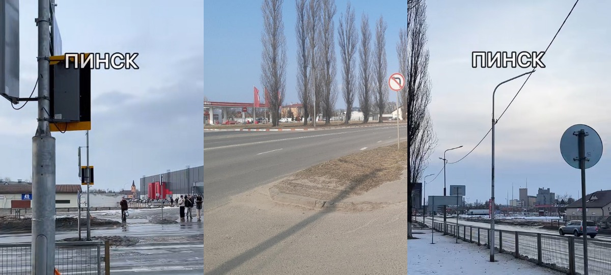 вырубка деревьев