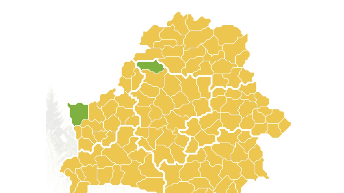 Карта запрета и ограничения посещения лесов на 30 марта 2026 года