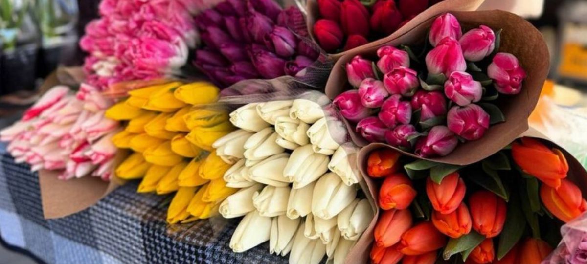 Тюльпаны, цветы, 8 марта