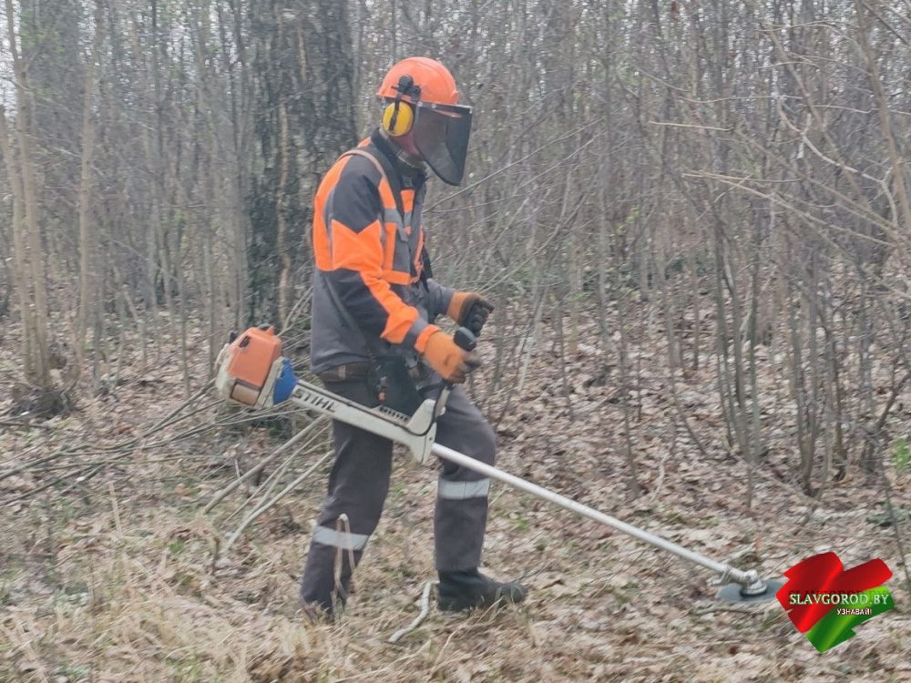 уборка листьев