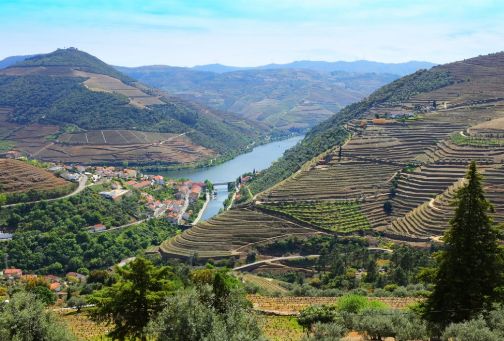 Долина реки Дору с террасными виноградниками и деревнями на склонах — винный регион Португалии