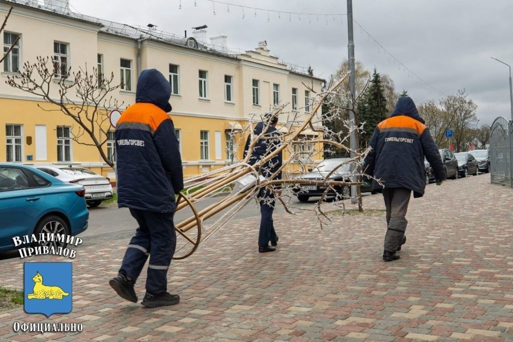 Светодиодные деревья на улице Баумана в Гомеле. Фото из телеграм-канала председателя Гомельского горисполкома Владимира Привалова