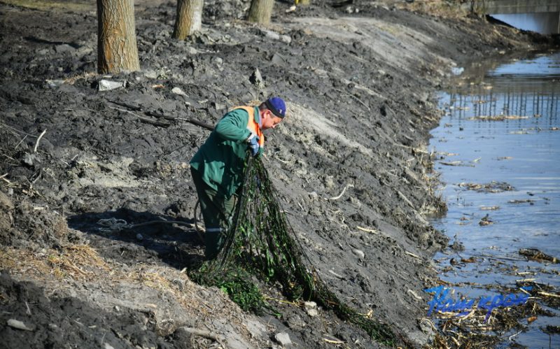 В Барановичах чистят канал Светиловского озера. Фото: «Наш край»