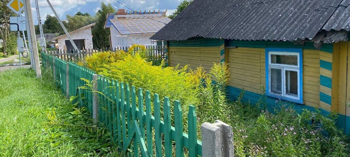 инвазивные растения